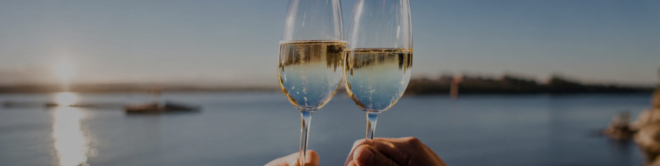 image popup