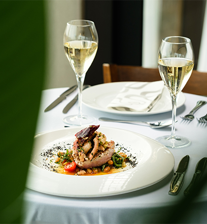 image gastronomy